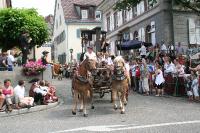 IMG_6148 (2) 